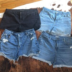 Denim Shorts Collection